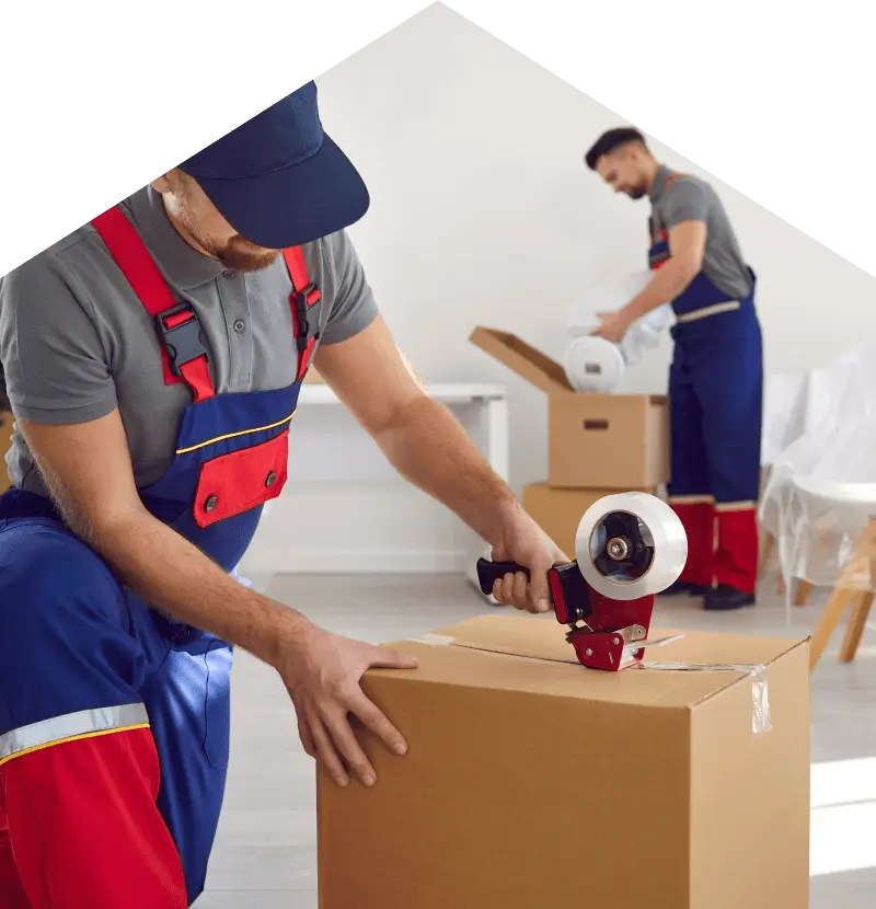 Professional Packing